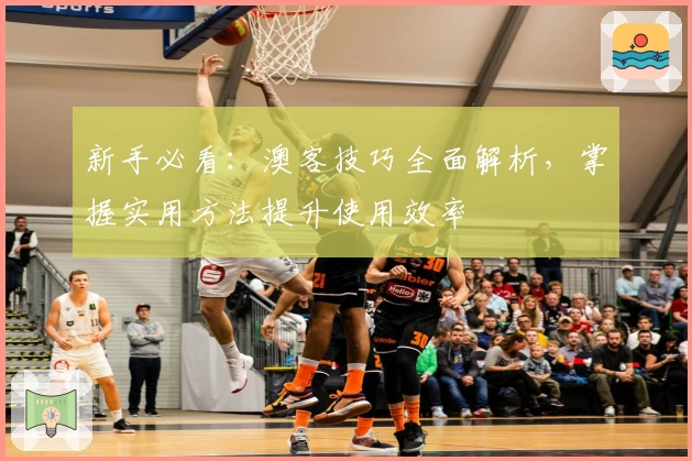 新手必看：澳客技巧全面解析，掌握实用方法提升使用效率