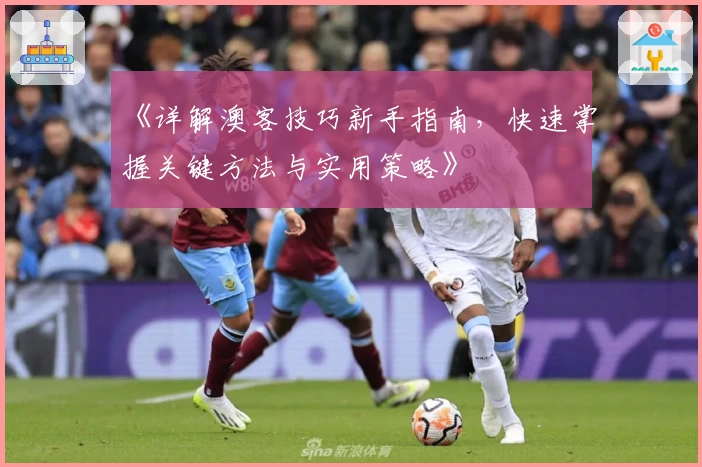 《详解澳客技巧新手指南,快速掌握关键方法与实用策略》