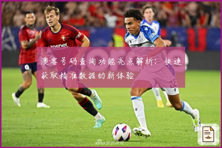 澳客号码查询功能亮点解析：快速获取精准数据的新体验