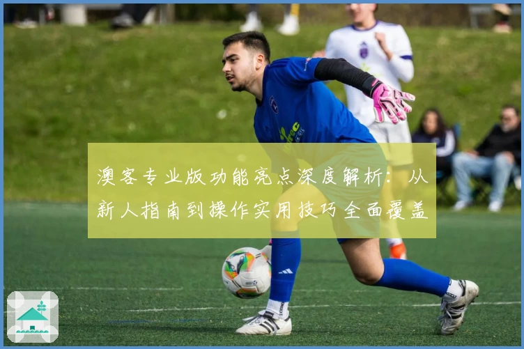 澳客专业版功能亮点深度解析：从新人指南到操作实用技巧全面覆盖