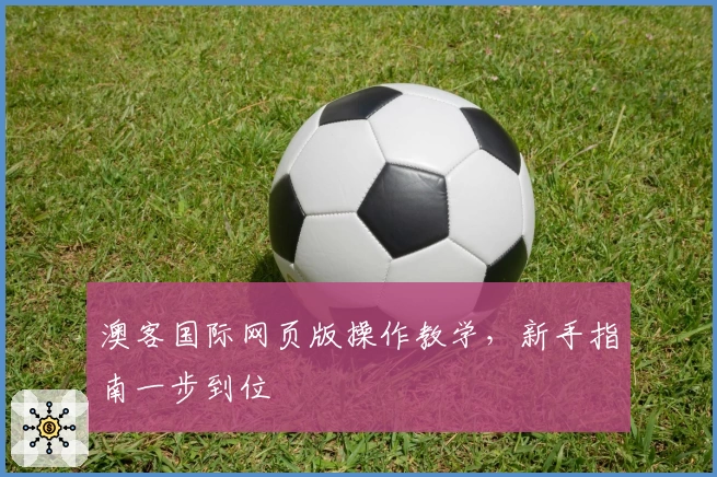 澳客国际网页版操作教学，新手指南一步到位